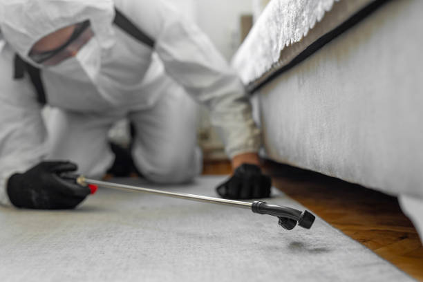 Professional Ant Control technician working in Angola on the Lake, NY